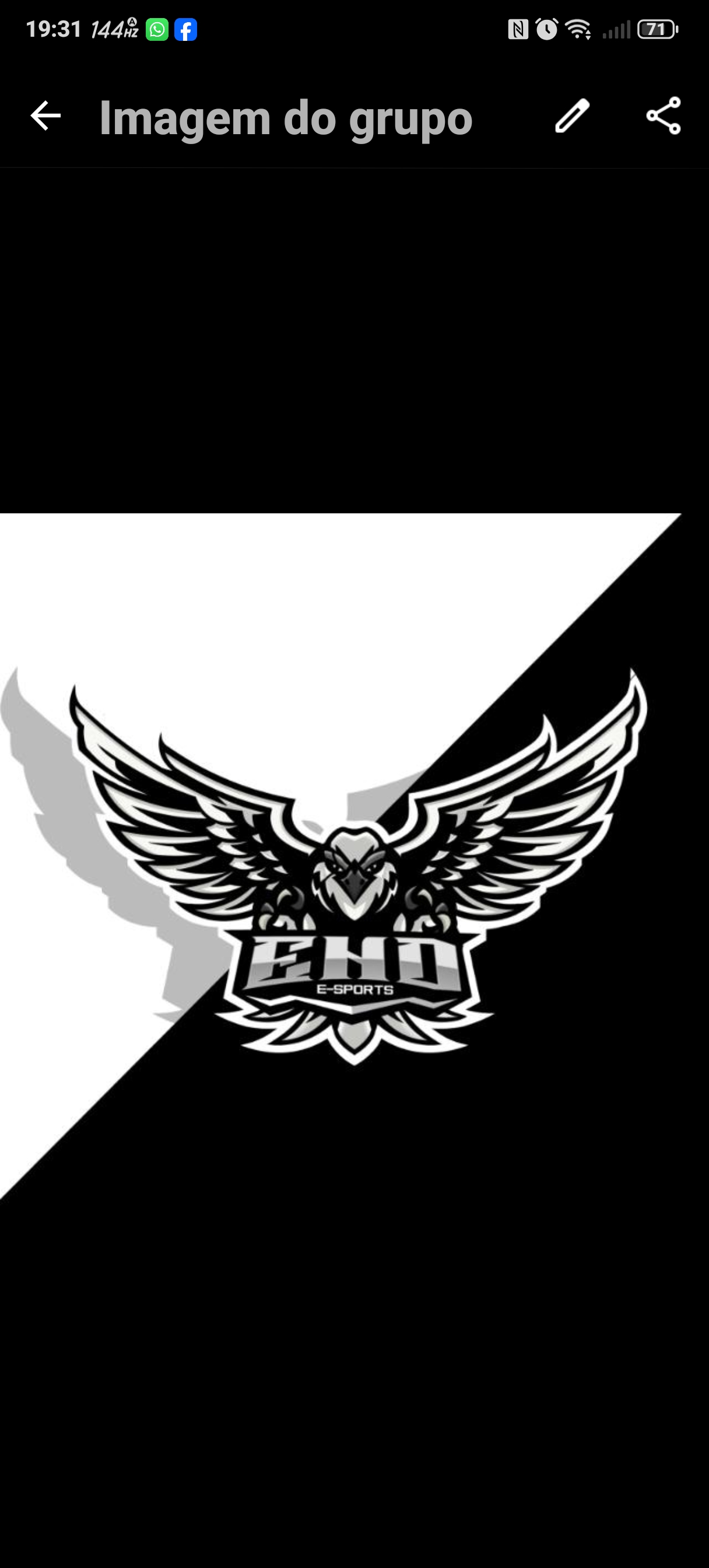 Logo da Organização